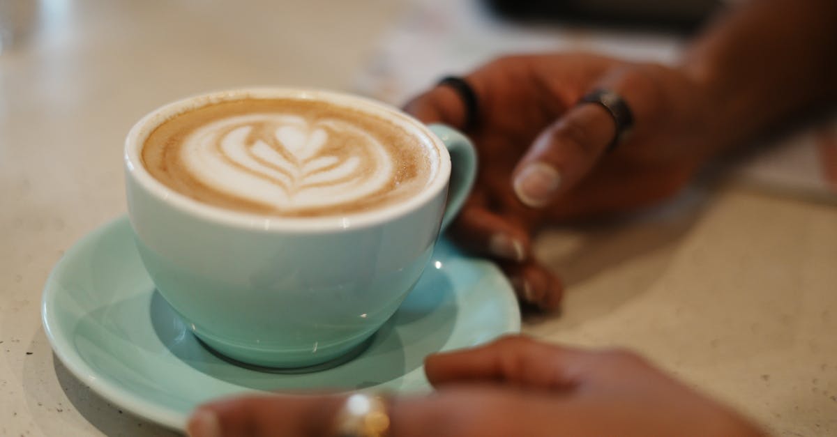 Portalcoffee Cafe / Restaurant about